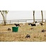 FARM INNOVATORS Seau Chauffant pour Animaux