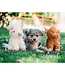 MultiPet Peluche Highland Cow Brun & Crème