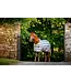 Horseware Couverture de refroidissement en polar Newmarket