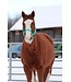 Weaver Original Adjustable Mint Chin & Throat Snap 1'' Halter