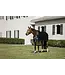 Horseware Couverture de refroidissement Rambo Airmax Noir