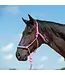 Cashel Licou en Corde Braided Nose