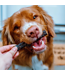 Etta Says Crunchy Premium Duck Chews