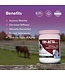 Tri-Acta Supplement H.A. Maximum Power Equine