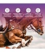 Tri-Acta Supplement H.A. Maximum Power Equine