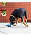 KONG Jouet Interactif Tipsy Rewards pour Chien