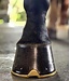 Keratex Coconut Oil Black Hoof Balm