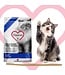 1st Choice Dental Health Formula for All Breeds Adult Cats