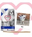 1st Choice  Dental Health - All Breeds