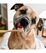 Animora Cranberry dental gel for animals