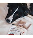 Animora Cranberry Dental Sticks for Dogs
