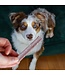 Animora Bâtonnets Dentaires aux Canneberges pour Chien