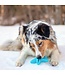Animora Jouet Dentaire Étoile pour Chien