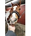 Barnies Bonbons pour Chevaux à la Pomme