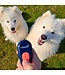 Company Of Animals Coachi Dog Training Clicker