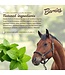 Barnies Classic Horse Peppermint Treats