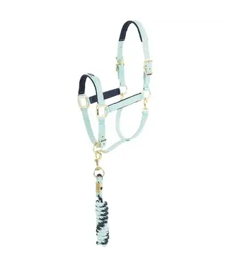 ANKY Canal Blue Halter and Lead Kit