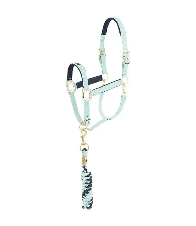 ANKY Licou et laisse assortis Canal Blue