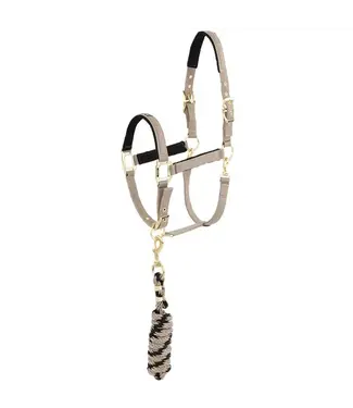 ANKY Fungi Halter and Lead Kit