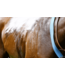 Cavalor Muscle Motion