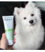 Baci+ Gel Dentaire Enzymatique pour Animaux