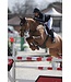 VEREDUS Olympus Vento Front Tendon Boots