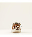 Ariat Ginger Suede Cowhide Hilo