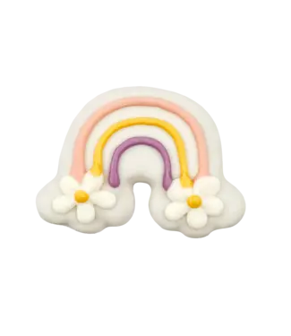 Bosco & Roxy's Rainbow Vibes Only Handmade Spring Cookies