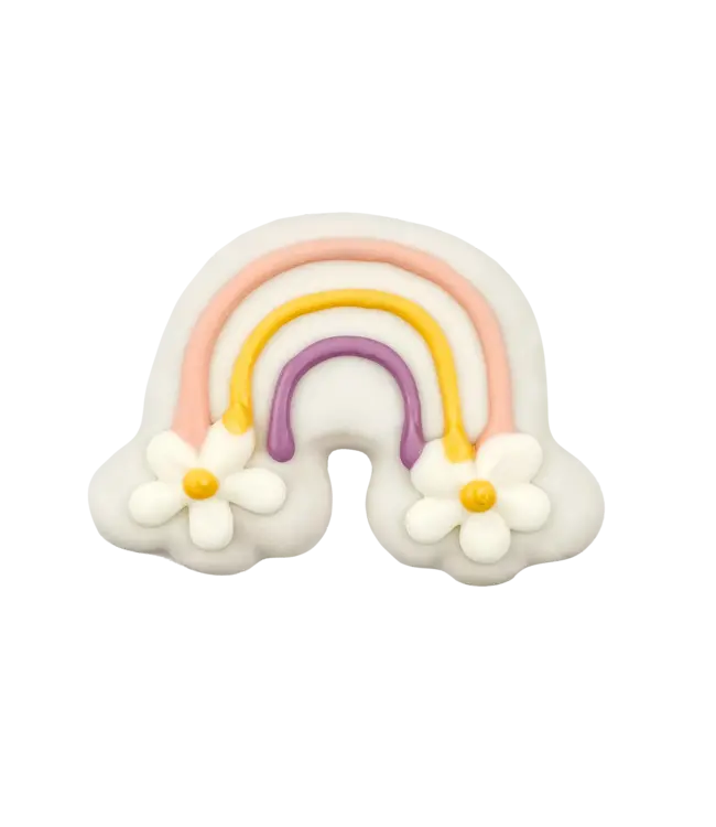 Bosco & Roxy's Rainbow Vibes Only Handmade Spring Cookies