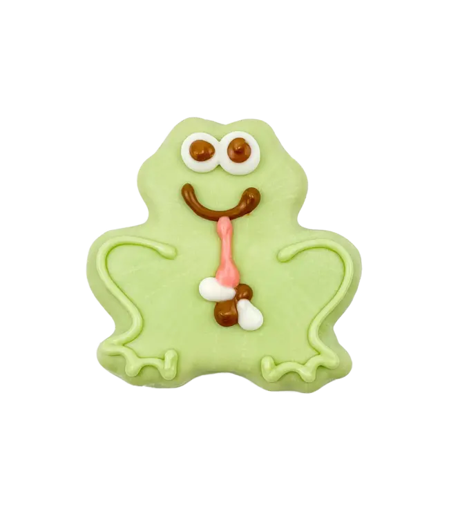 Bosco & Roxy's Ribbit Fly Catcher Handmade Spring Cookies