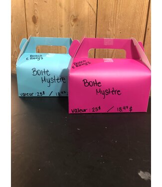 Bosco & Roxy's Mystery Cookie Box