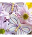 Bosco & Roxy's Just Fluttering Around Handmade Spring Cookies