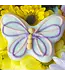 Bosco & Roxy's Just Fluttering Around Handmade Spring Cookies