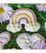 Bosco & Roxy's Rainbow Vibes Only Handmade Spring Cookies