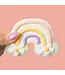 Bosco & Roxy's Rainbow Vibes Only Handmade Spring Cookies