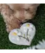 Bosco & Roxy's I've Pollen For You! Handmade Spring Cookies