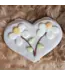 Bosco & Roxy's I've Pollen For You! Handmade Spring Cookies