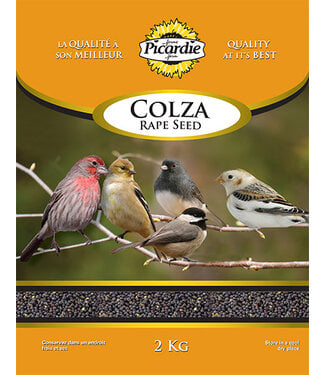 Picardie Graines de Colza