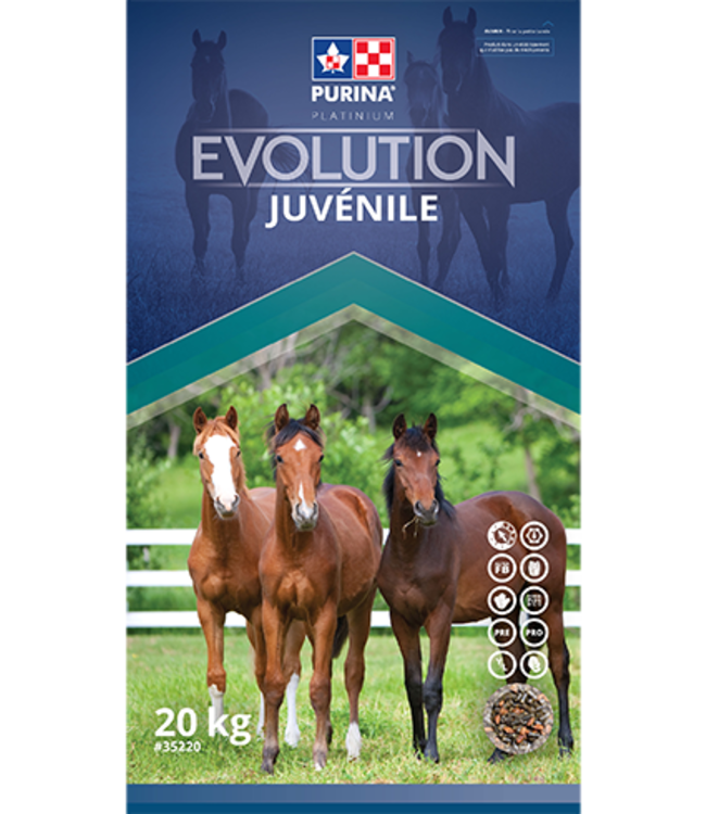 Purina Cargill Evolution Juvénile