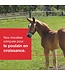 Purina Cargill Evolution Juvénile