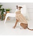 GF PET Chandail de Laine Classic Collection