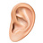 Santé Auriculaire