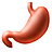 Digestion