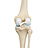 Joint & Mobility