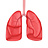 Système respiratoire
