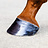 Hoof