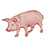 Pork