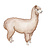 Camelids