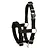 Halter & Leads