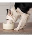 Scruffs Icon Water Bowl